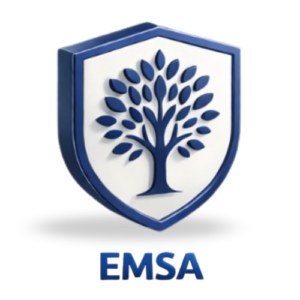 logo emsa 3d final